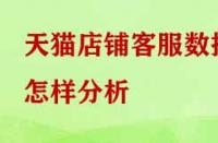 天貓店鋪客服數(shù)據(jù)怎樣分析？