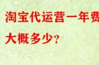 淘寶代運營一年費用大概多少？