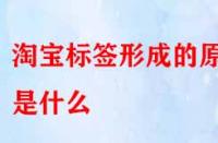 怎樣得到精準(zhǔn)流量？淘寶標(biāo)簽形成的原因是什么？