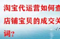 淘寶代運營如何查看店鋪寶貝的成交關鍵詞？