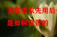 天貓賣家先用后付是如何設置的（先用后付的好處有哪些）