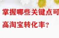 掌握哪些關(guān)鍵點(diǎn)可提高淘寶轉(zhuǎn)化率？