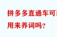 拼多多直通車可以用來養(yǎng)詞嗎？