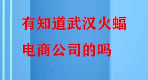 有知道武漢火蝠電商公司的嗎