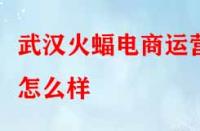 武漢火蝠電商運(yùn)營(yíng)怎么樣