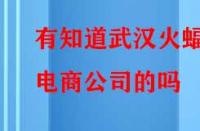 有知道武漢火蝠電商公司的嗎