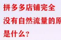 拼多多店鋪完全沒有自然流量的原因是什么？