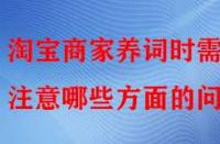 淘寶商家養(yǎng)詞時需注意哪些方面的問題？