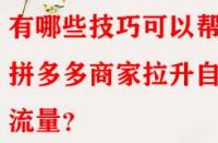 有哪些技巧可以幫助拼多多商家拉升自然流量？