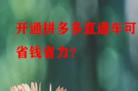 開通拼多多直通車可更省錢省力？